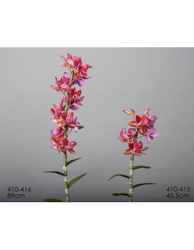 Orquidea cycnoches purpura 89 cms