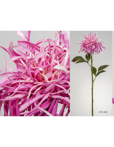 Rama Spider rosa 67 cm