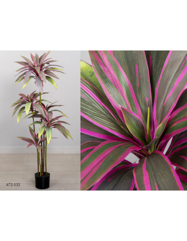 Maceta dracena 132 cms