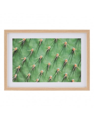 CUADRO IMPRESIÓN CACTUS 2/M DECORACIÓN 49 X 2 X 69 CM