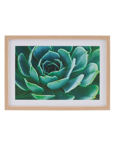 CUADRO IMPRESIÓN CACTUS 2/M DECORACIÓN 49 X 2 X 69 CM