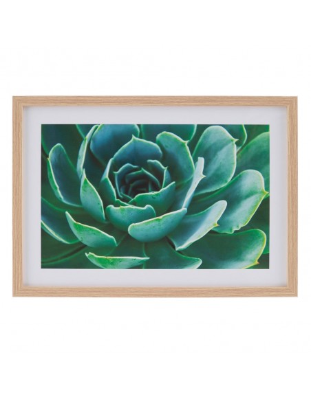 CUADRO IMPRESIÓN CACTUS 2/M DECORACIÓN 49 X 2 X 69 CM