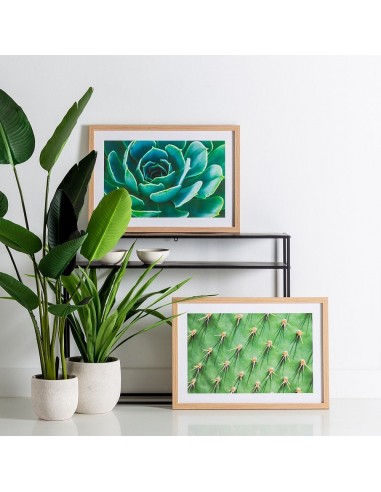 CUADRO IMPRESIÓN CACTUS 2/M DECORACIÓN 49 X 2 X 69 CM