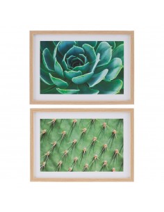 CUADRO IMPRESIÓN CACTUS 2/M DECORACIÓN 49 X 2 X 69 CM 2
