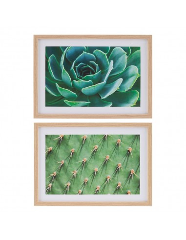 CUADRO IMPRESIÓN CACTUS 2/M DECORACIÓN 49 X 2 X 69 CM