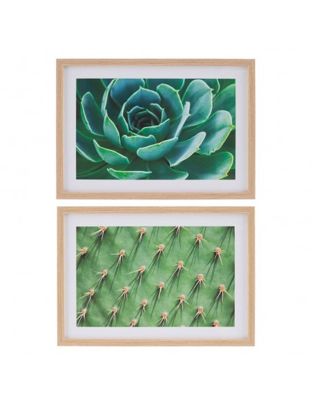 CUADRO IMPRESIÓN CACTUS 2/M DECORACIÓN 49 X 2 X 69 CM
