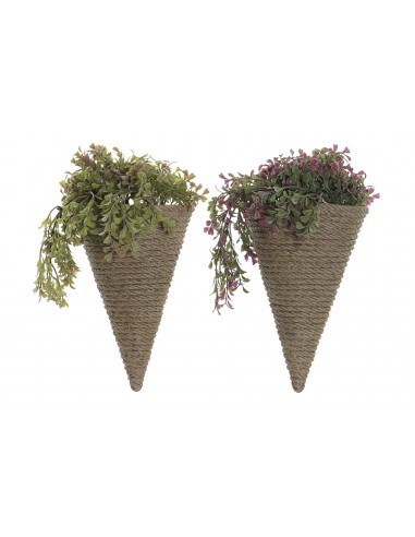 PLANTA PE EVA 16X11X32 PARED