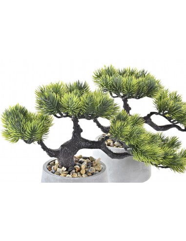 PLANTA TELA CEMENTO 30X12X23 BONSAI