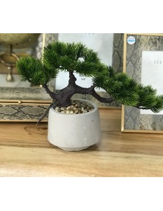 PLANTA TELA CEMENTO 30X12X23 BONSAI