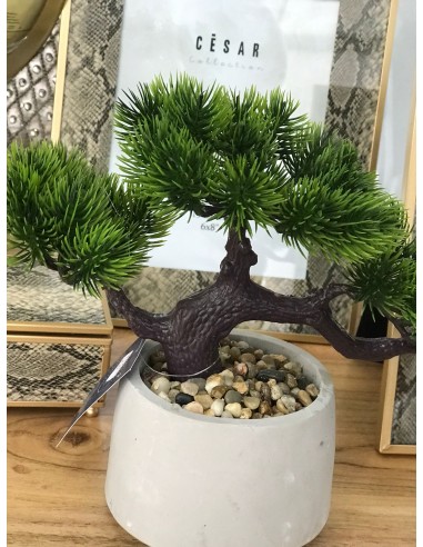PLANTA TELA CEMENTO 30X12X23 BONSAI