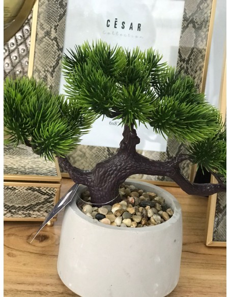PLANTA TELA CEMENTO 30X12X23 BONSAI