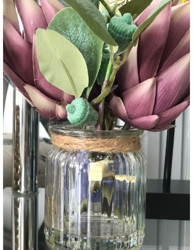PLANTA PE CRISTAL 20X20X25 MALVA
