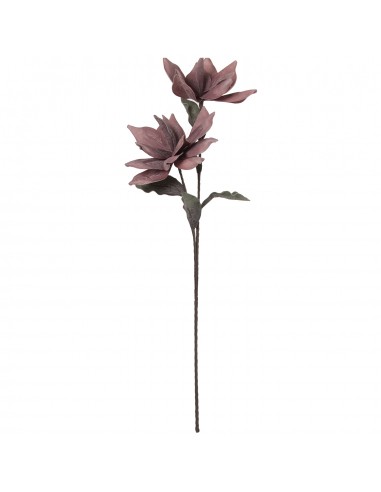 Rama C/2 Flores Rosas110cm