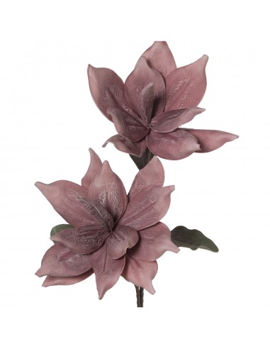 Rama C/2 Flores Rosas110cm