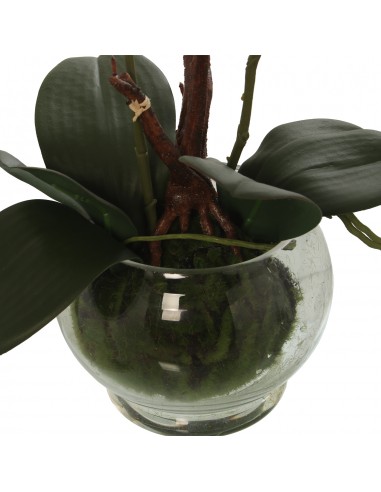 Maceta C/orquideas Rosa/blancas