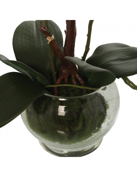 Maceta C/orquideas Rosa/blancas