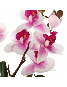 Maceta C/orquideas Rosa/blancas 2