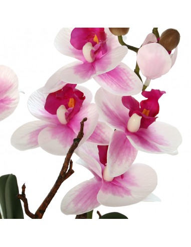 Maceta C/orquideas Rosa/blancas
