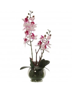 Maceta C/orquideas Rosa/blancas