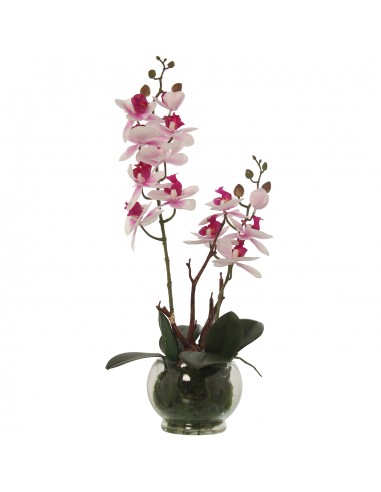 Maceta C/orquideas Rosa/blancas