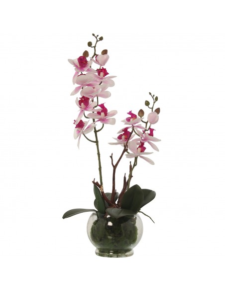 Maceta C/orquideas Rosa/blancas