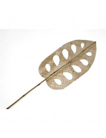 PALMA MONSTERA PANDANO BAMBU NATURAL