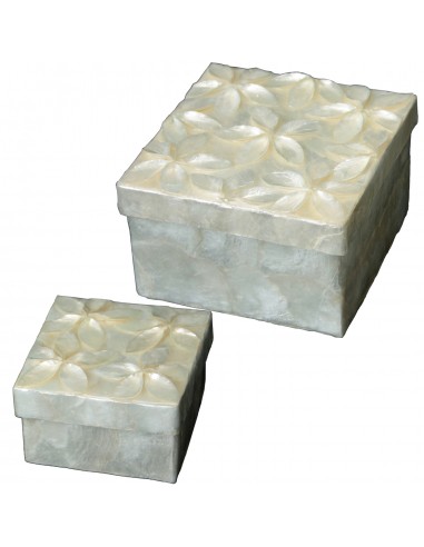 SET 2 CAJAS NÀCAR FLORES RELIEVE