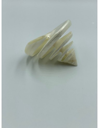 Figura cono nacar