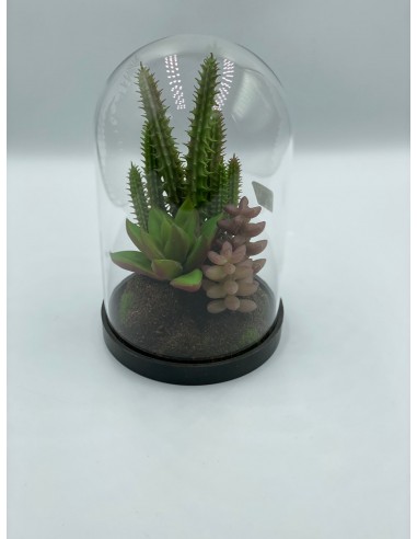 Composición suculenta cristal 10*16cm