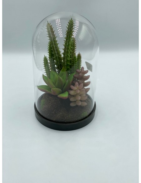 Composición suculenta cristal 10*16cm