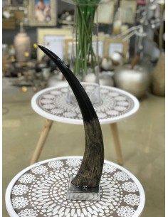 Figura cuerno 9.5*46cm