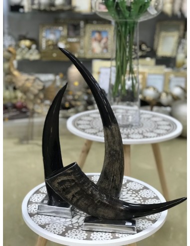 Figura cuerno 9.5*46cm