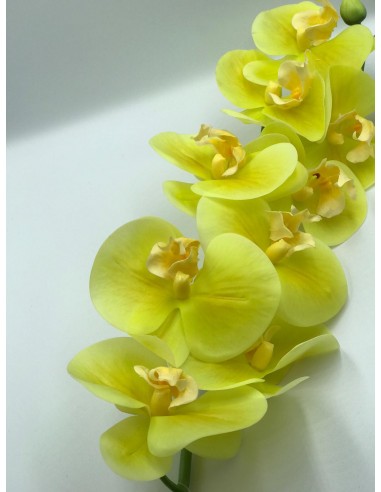 Vara flor orquídea amarillo 90cm