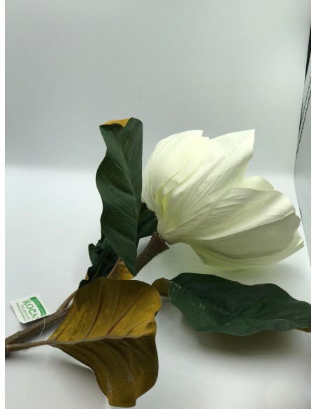 Vara magnolina blanco 90cm
