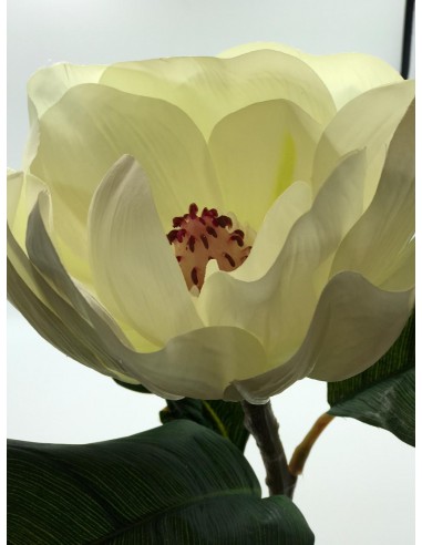 Vara magnolina blanco 90cm