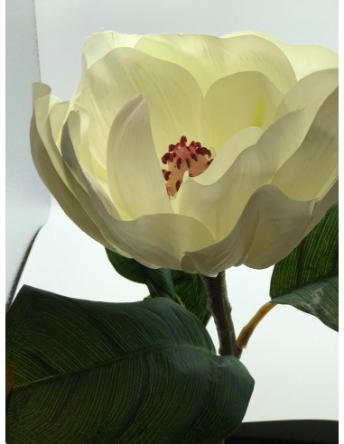 Vara magnolina blanco 90cm