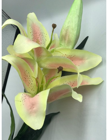 Vara flor lilium bicolor 75cm