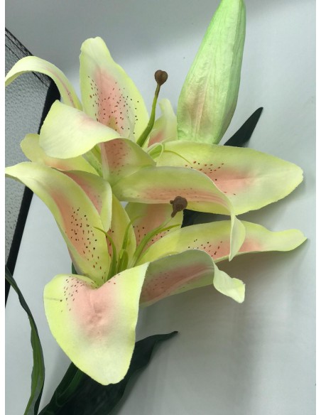 Vara flor lilium bicolor 75cm
