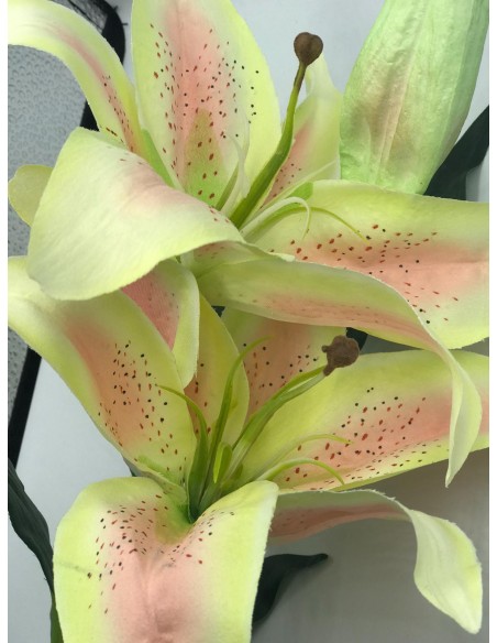 Vara flor lilium bicolor 75cm