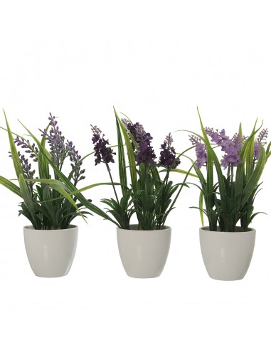 Plantas Artificiales Pu C/maceta Melamina-3 Mod.surt._alt.24cm-base:ø8x7,5cm