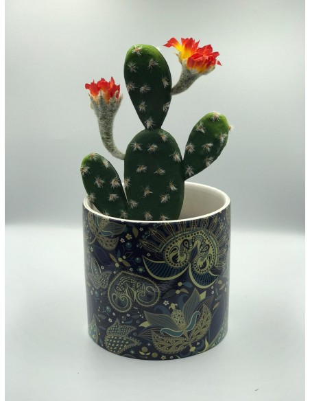 Macetero ceramica dibujos azul 12*13cm