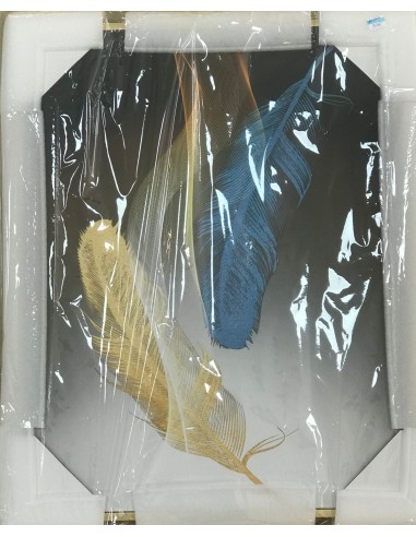 Cuadro plumas 40*50cm
