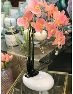 Maceta orquidea phalaneopsis rosa 55cm 2