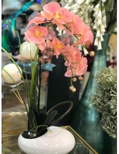 Maceta orquidea phalaneopsis rosa 55cm