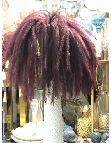 Vara plumas morado